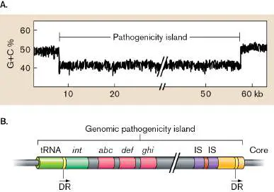 Figure from Chapter 25, Microbiology: An Evolving Science 6e