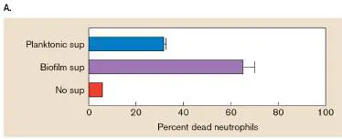 Figure from Chapter 25, Microbiology: An Evolving Science 6e