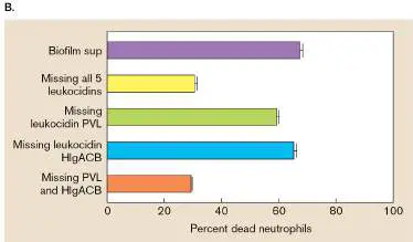 Figure from Chapter 25, Microbiology: An Evolving Science 6e