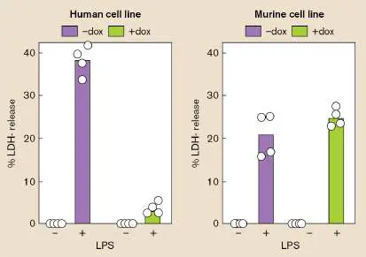 Figure from Chapter 25, Microbiology: An Evolving Science 6e