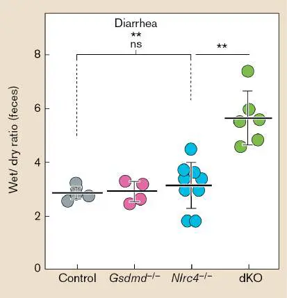 Figure from Chapter 25, Microbiology: An Evolving Science 6e