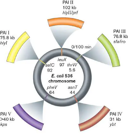 Figure from Chapter 26, Microbiology: An Evolving Science 6e