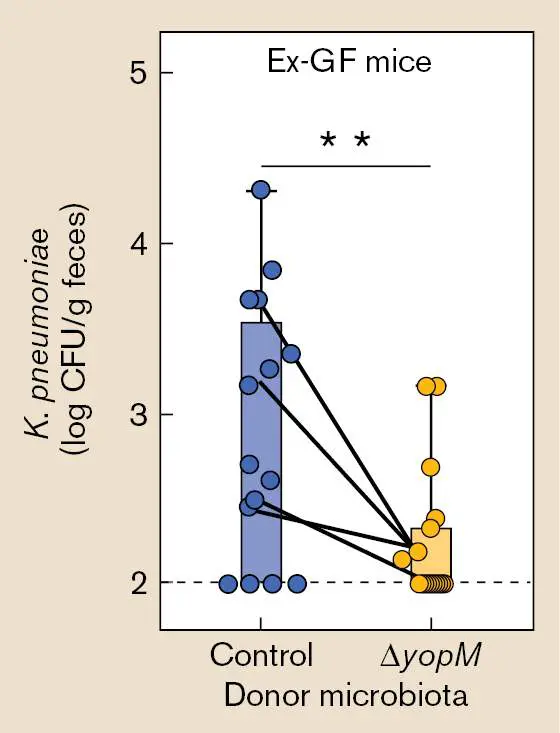 Figure from Chapter 26, Microbiology: An Evolving Science 6e