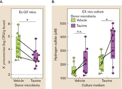 Figure from Chapter 26, Microbiology: An Evolving Science 6e