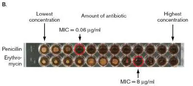 Figure from Chapter 27, Microbiology: An Evolving Science 6e