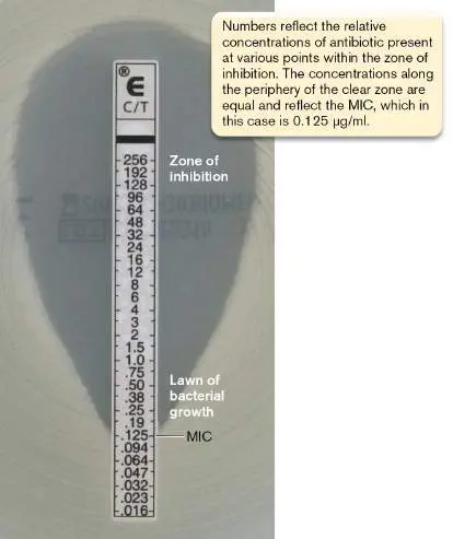Figure from Chapter 27, Microbiology: An Evolving Science 6e