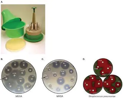 Figure from Chapter 27, Microbiology: An Evolving Science 6e