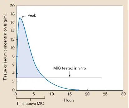 Figure from Chapter 27, Microbiology: An Evolving Science 6e