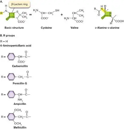 Figure from Chapter 27, Microbiology: An Evolving Science 6e