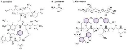 Figure from Chapter 27, Microbiology: An Evolving Science 6e