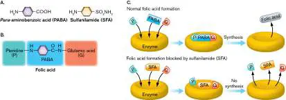 Figure from Chapter 27, Microbiology: An Evolving Science 6e