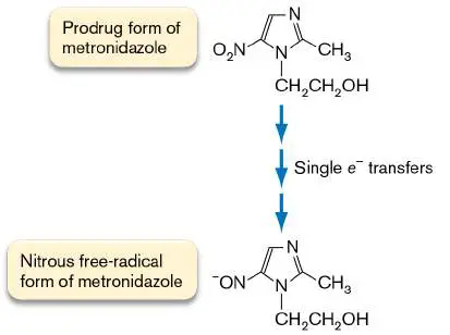 Figure from Chapter 27, Microbiology: An Evolving Science 6e
