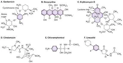 Figure from Chapter 27, Microbiology: An Evolving Science 6e