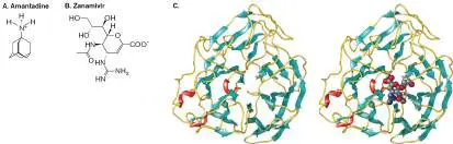 Figure from Chapter 27, Microbiology: An Evolving Science 6e