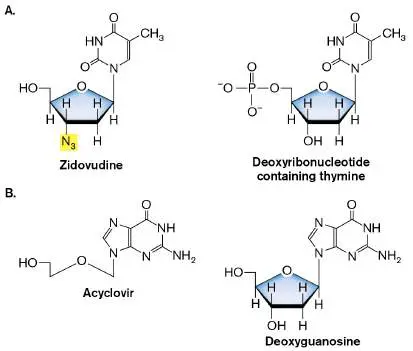 Figure from Chapter 27, Microbiology: An Evolving Science 6e