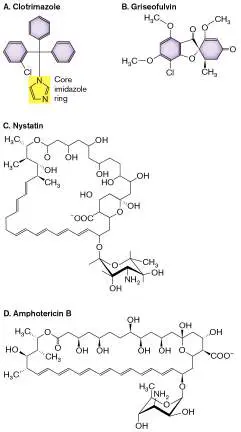 Figure from Chapter 27, Microbiology: An Evolving Science 6e