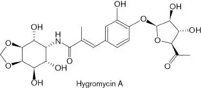Figure from Chapter 27, Microbiology: An Evolving Science 6e