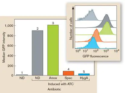Figure from Chapter 27, Microbiology: An Evolving Science 6e