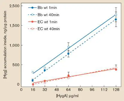 Figure from Chapter 27, Microbiology: An Evolving Science 6e