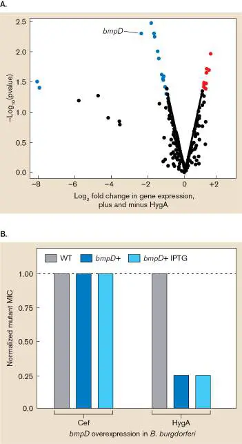 Figure from Chapter 27, Microbiology: An Evolving Science 6e