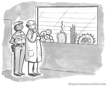 Figure from Chapter 28, Microbiology: An Evolving Science 6e