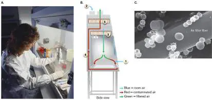 Figure from Chapter 28, Microbiology: An Evolving Science 6e