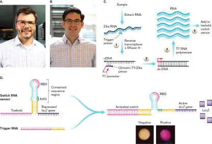 Figure from Chapter 28, Microbiology: An Evolving Science 6e