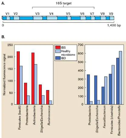 Figure from Chapter 28, Microbiology: An Evolving Science 6e