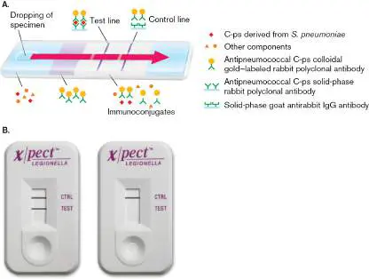 Figure from Chapter 28, Microbiology: An Evolving Science 6e