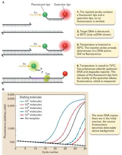 Figure from Chapter 28, Microbiology: An Evolving Science 6e