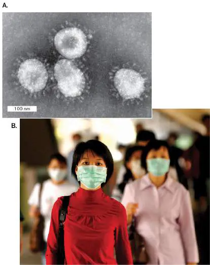 Figure from Chapter 28, Microbiology: An Evolving Science 6e
