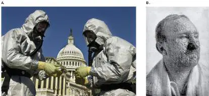 Figure from Chapter 28, Microbiology: An Evolving Science 6e