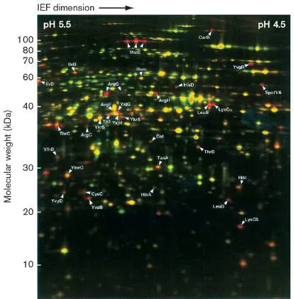 Figure from eAppendix 3, Microbiology: An Evolving Science 6e