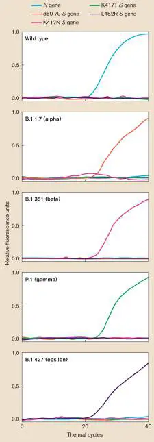 Figure from eAppendix 3, Microbiology: An Evolving Science 6e