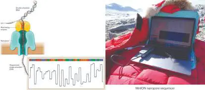 Figure from the course study guide