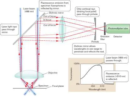 Figure from eAppendix 3, Microbiology: An Evolving Science 6e