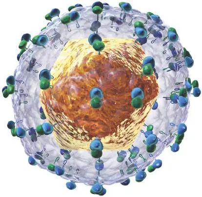 Figure from eAppendix 4, Microbiology: An Evolving Science 6e