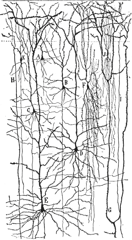 Ch 2 figure