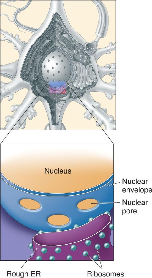 Ch 2 fig (p. 0)