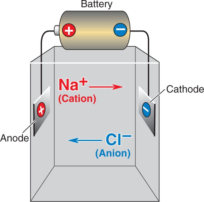Ch 3 fig (p. 0)