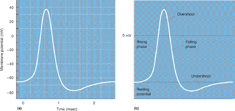 Ch 4 fig (p. 0)