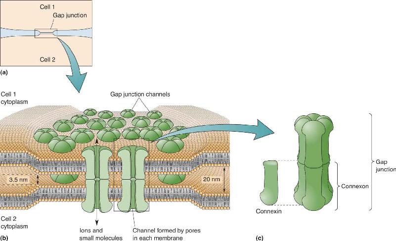 Ch 5 fig (p. 0)