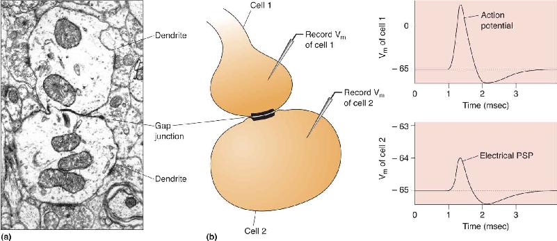 Ch 5 fig (p. 0)