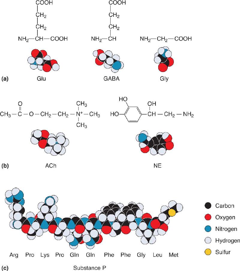 Ch 5 fig (p. 0)