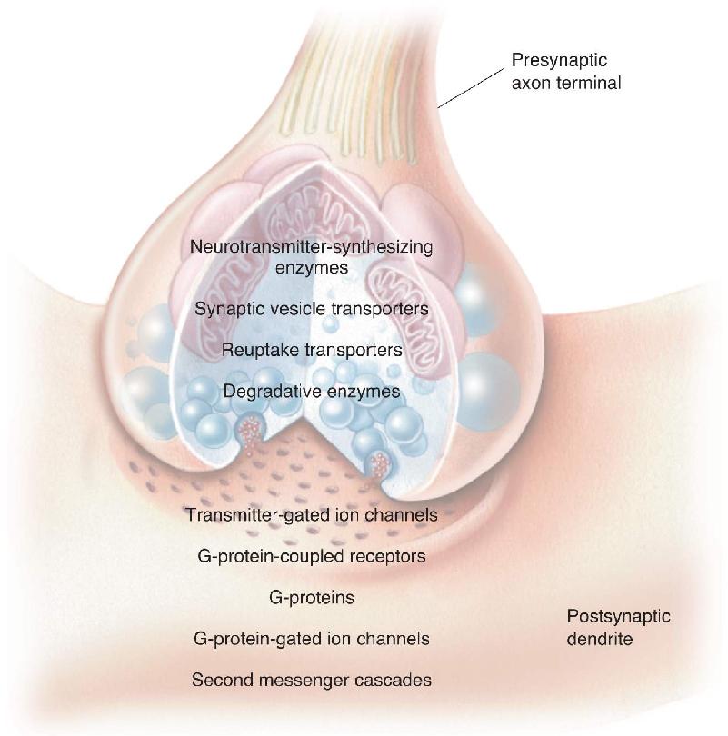 Ch 6 fig (p. 0)