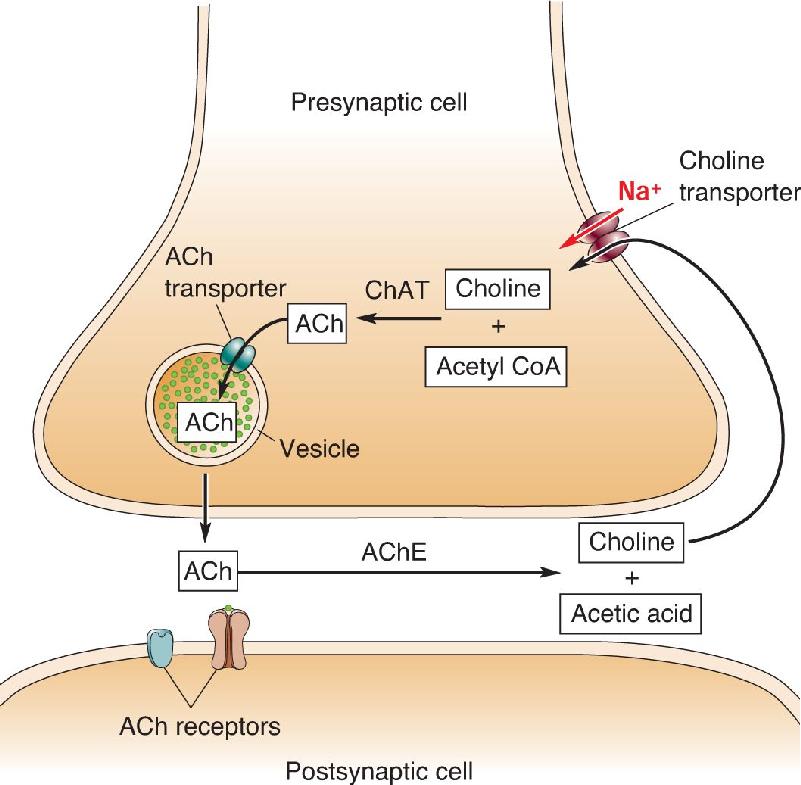 Ch 6 fig (p. 0)