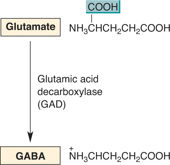 Ch 6 fig (p. 0)