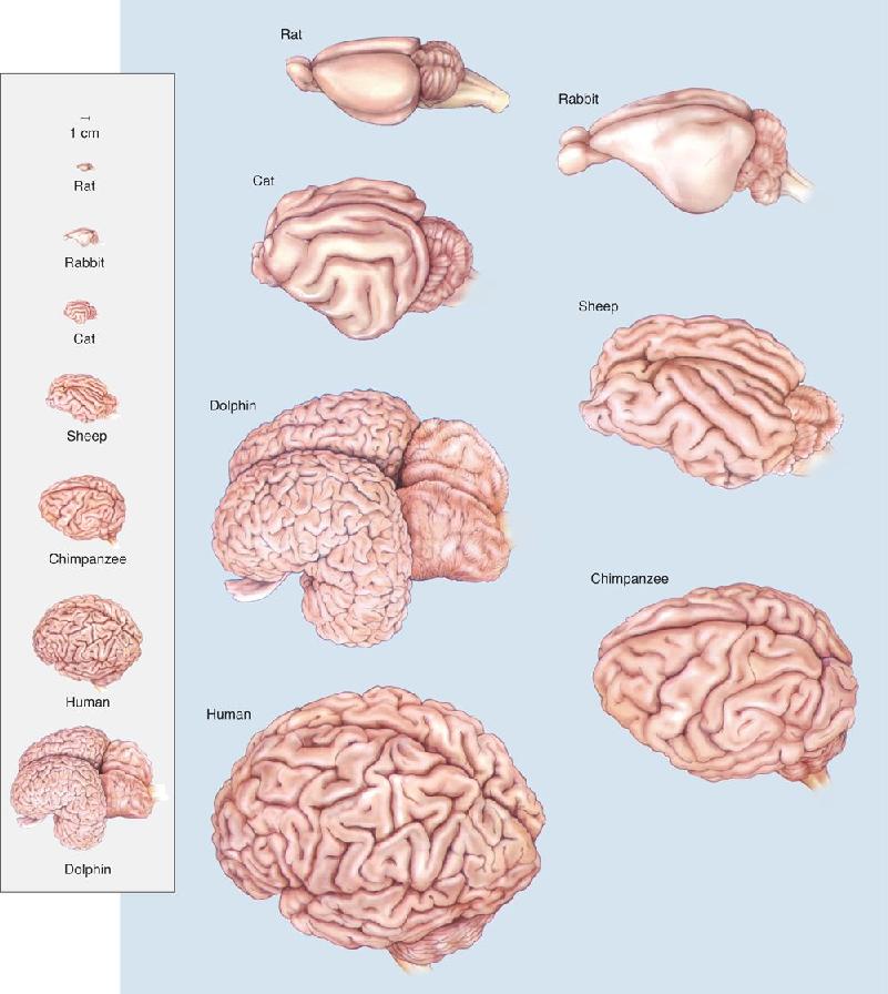 Ch 7 fig (p. 0)