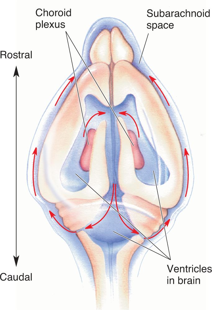 Ch 7 fig (p. 0)