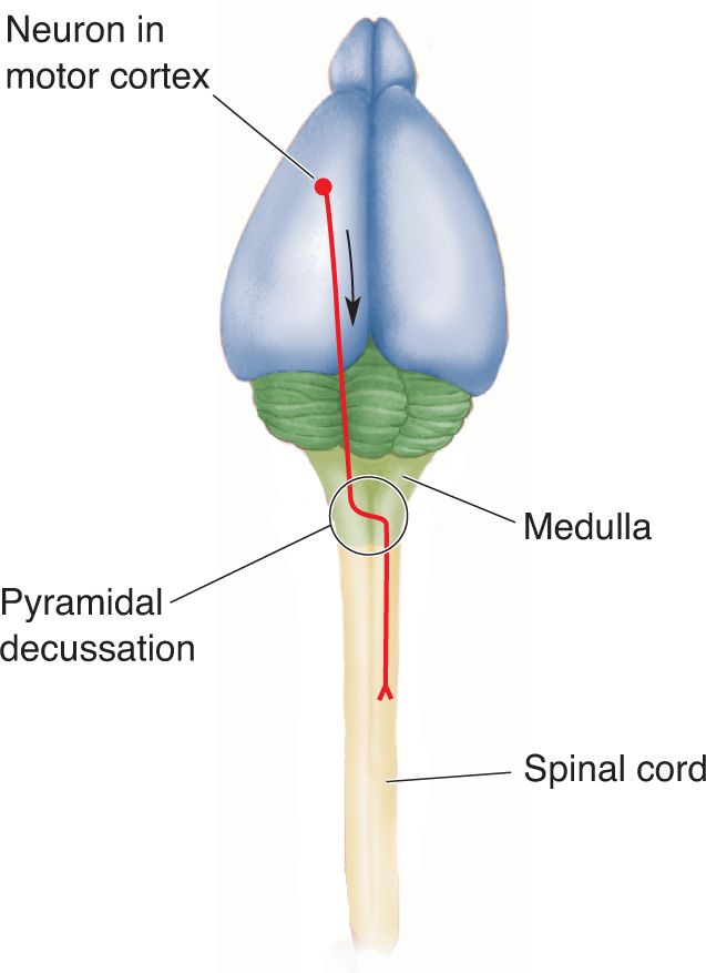 Ch 7 fig (p. 0)